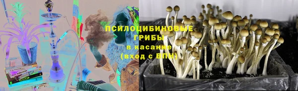 ПСИЛОЦИБИНОВЫЕ ГРИБЫ Дмитровск