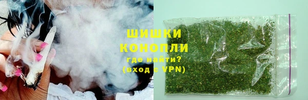 гашик Дмитров