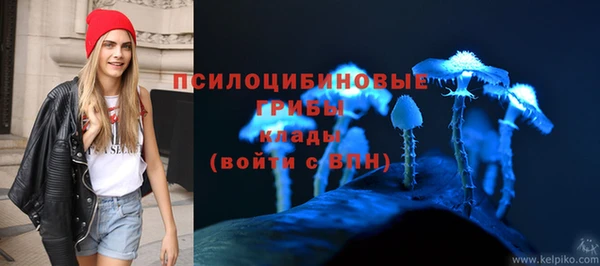 альфа пвп Елизово
