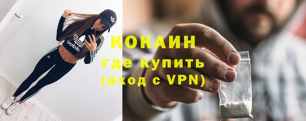 альфа пвп Елизово