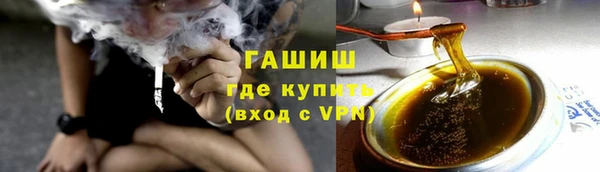 гашик Дмитров