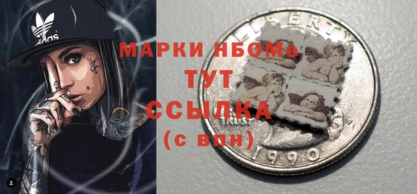 гашик Дмитров