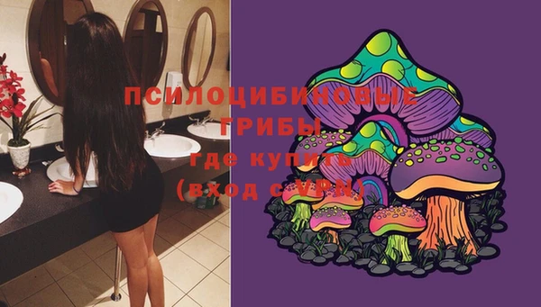 кристаллы Ельня