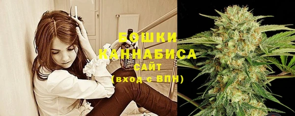 гашик Дмитров