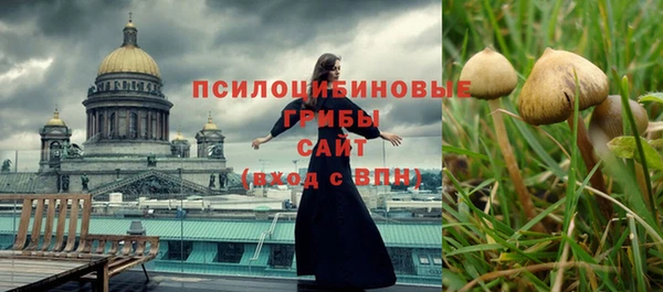гашик Дмитров