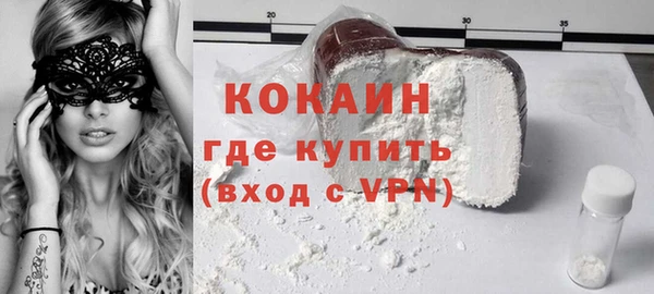 гашик Дмитров