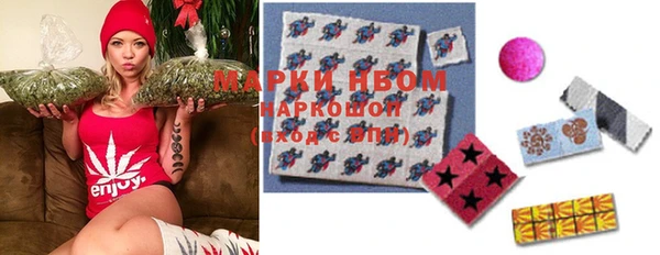 гашик Дмитров