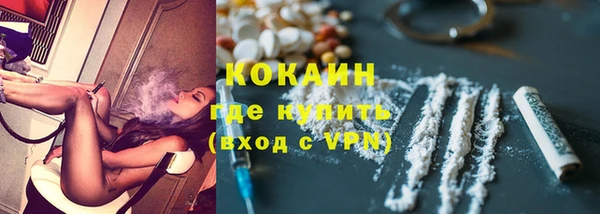 гашик Дмитров